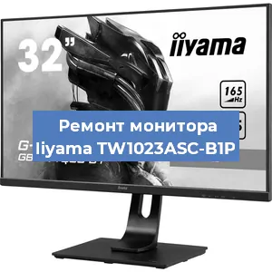 Замена матрицы на мониторе Iiyama TW1023ASC-B1P в Санкт-Петербурге